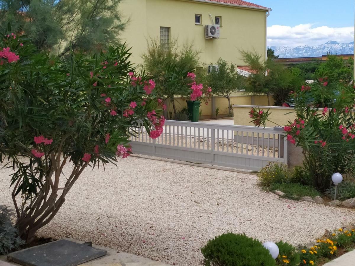 Apartmani Vjeko Vir Exterior foto